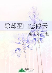 除却巫山怎停云