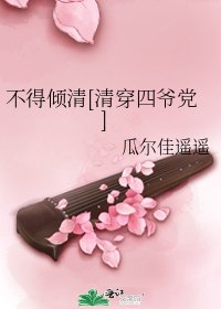 不得倾清[清穿四爷党]