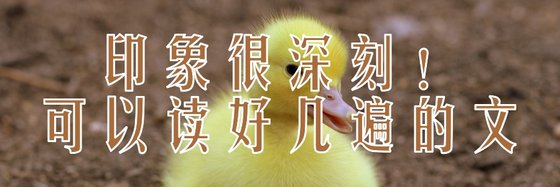 印象很深刻！可以读好几遍的文