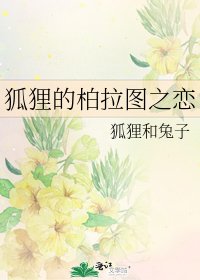 狐狸的柏拉图之恋